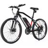 electric bikes Cybertruck 300