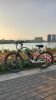 electric bikes Cybertruck 300