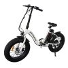 AOSTIRMOTOR Folding Electric Bicycle 500W Motor 20" Fat Tire With 36V/13Ah Li-Battery RT