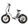 AOSTIRMOTOR Folding Electric Bicycle 500W Motor 20" Fat Tire With 36V/13Ah Li-Battery RT