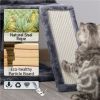 36" Cat Tree with Condo and Scratching Post Tower Kitten Activity Plush Play House Cat Nest